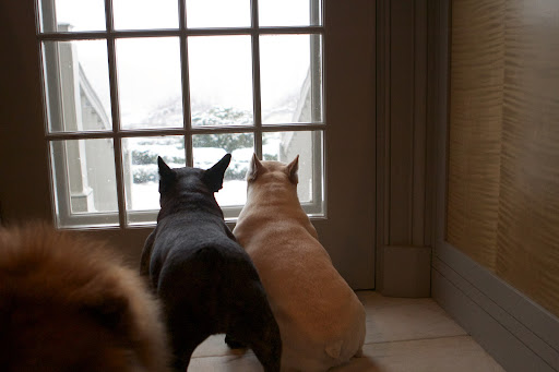 We're thankful for the warmth of our home and the great adventures awaiting us outdoors.