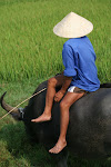 Hoi An, Vietnam 031.JPG