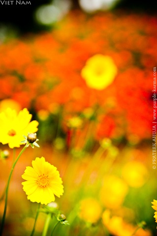 [DSC_0446-1%255B5%255D.jpg]