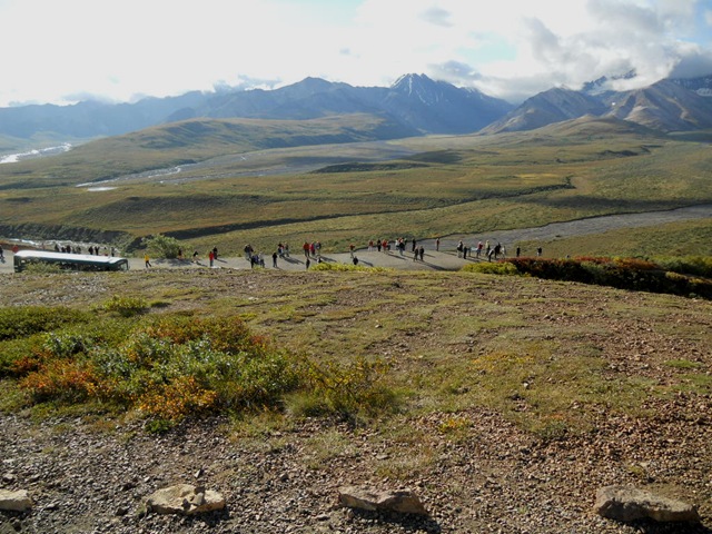 [traindenali0995.jpg]