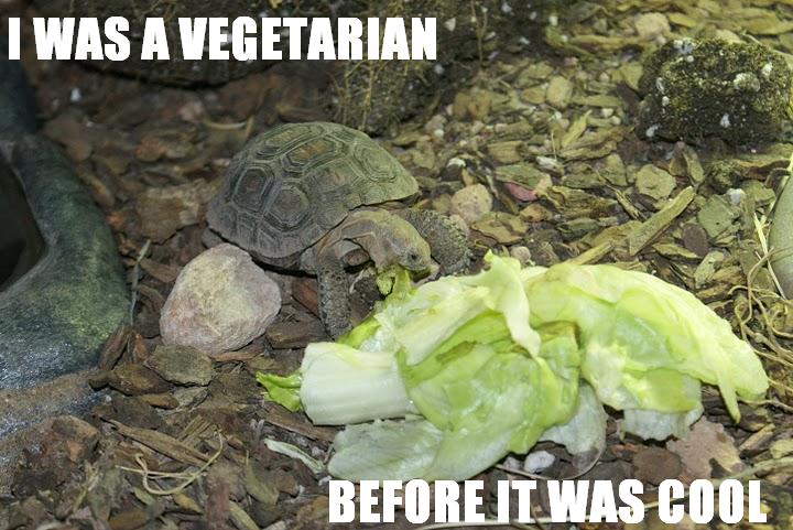 I was a vegetarian before it was cool