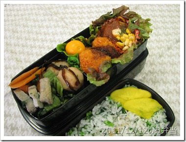 小芋の煮物と高菜の油炒め弁当(2011/12/12のお弁当)