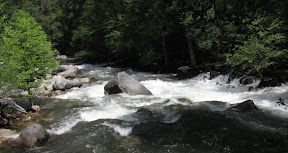 IMG_0397a.jpg