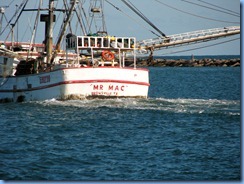 6990 Texas, South Padre Island - Osprey Cruises - Sea Life Safari  -  shrimper 'Mr. Mac'