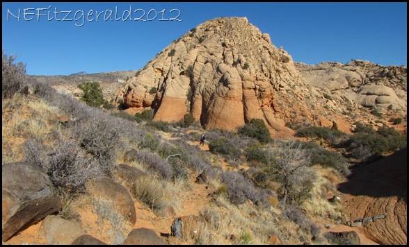 IMG_0680Navajo Sandstone_RedCliffs DesertReserve