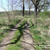 droga do Grabina dsc06275.jpg
