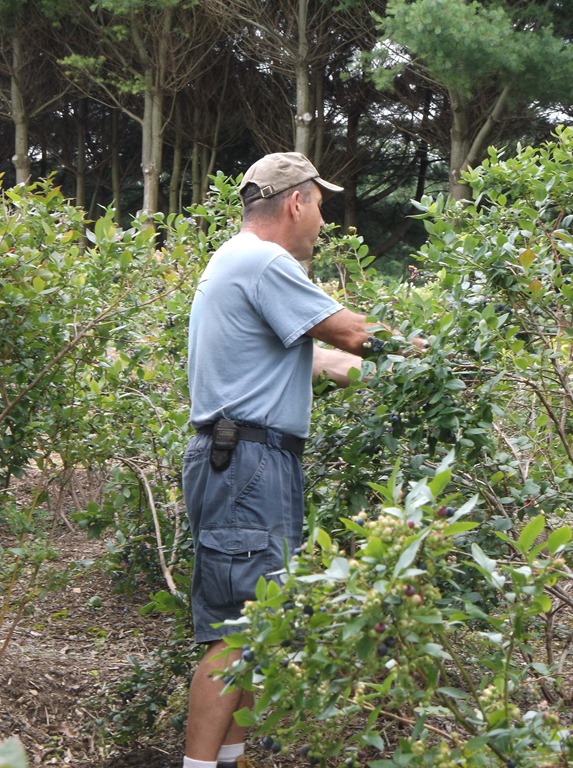 [DSCF5039%255B6%255D.jpg]