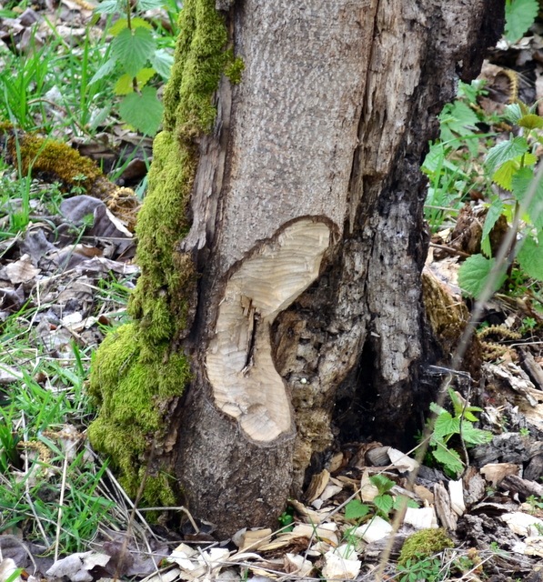 [DSC_0057%255B4%255D.jpg]