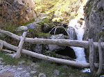 Foces do Río Pino