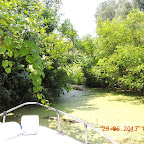 DSCN8395.JPG