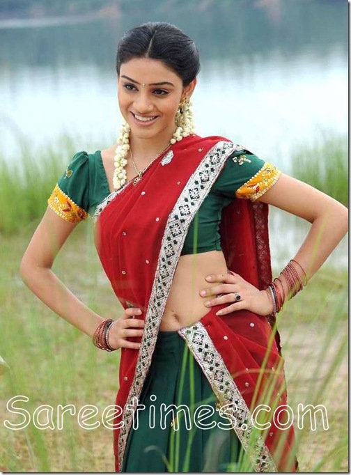 Anchal_Designer_Half_Saree