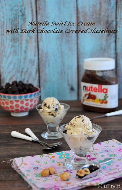 Nutella Swirl Ice Cream With Dark Chocolate Covered Hazelnuts