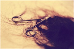 Self_destruction_by_salgada image by Salgada on Deviantart