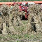 graanoogst-09-002.jpg