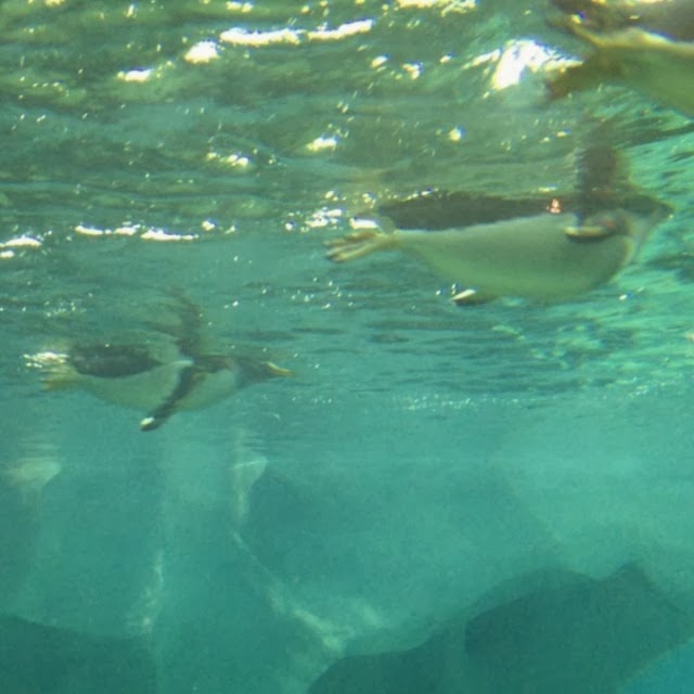 [2013-11-17_1384710509%255B3%255D.jpg]