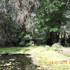 DSCN2943.JPG