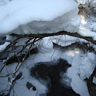 DSC06180.jpg