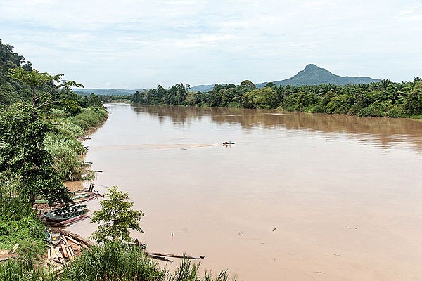 KinabatanganRiverSabahWikimedia KinabatanganRiverSabahWikimedia