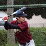 NYANKEES20110505