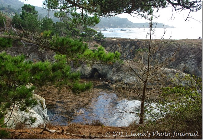 View from Bird Island Trail, Point Lobos, California View from Bird Island Trail, Point Lobos, California