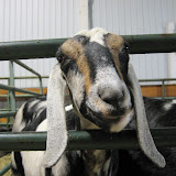  &ndash; 04-Nov-2007