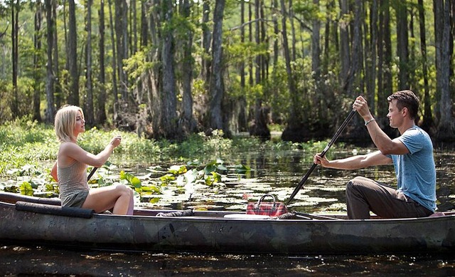 SAFE HAVEN