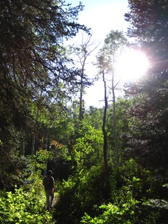 Lower Alexander Basin Trail
