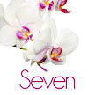 Table Number/Name