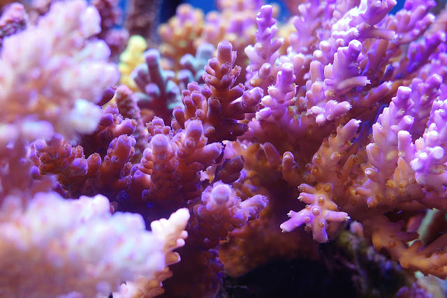 2012_%2525207_29_%2525201_23.jpg
