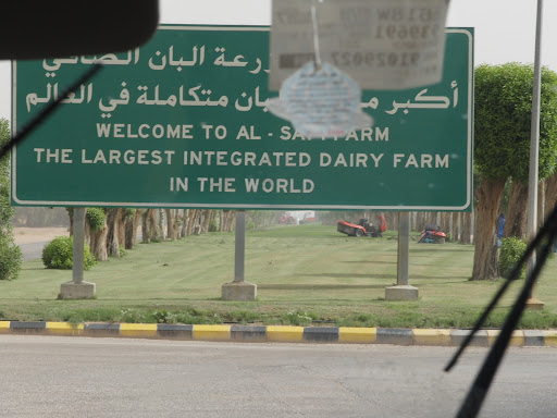 al safi danone