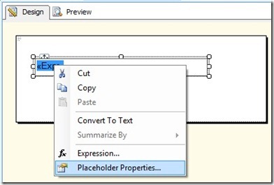 Placeholder properties