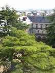 Lycée Livet