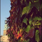 KRAKOW JESIEN 102.JPG