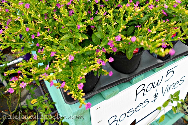 [DSCN1419-1%255B2%255D.jpg]