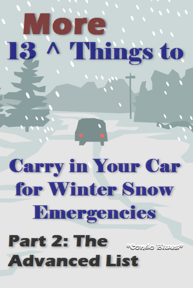 [13morethingstocarryinyourcarforwinteremergencies%255B3%255D.png]