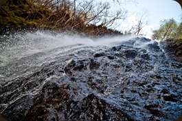 IMG_0265 IMG_0265