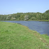 dsc05256.jpg