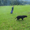 Táborák 2011