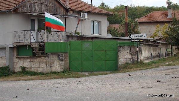 basarbovo-31.jpg