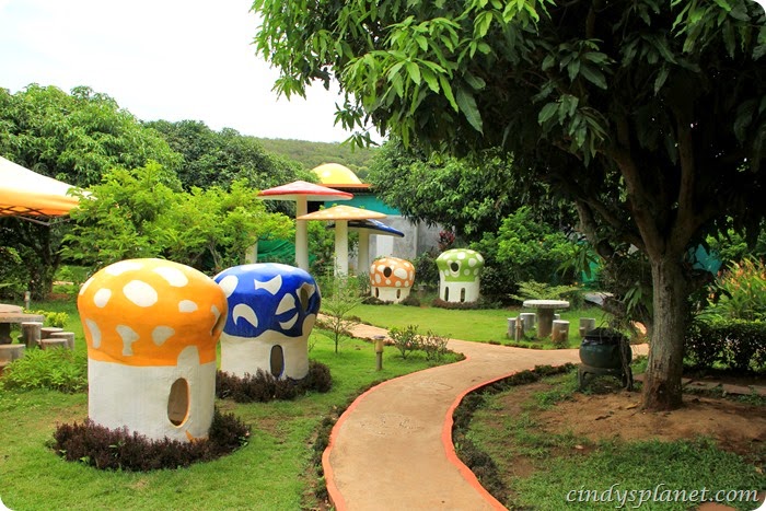 khao yai panorama farm (9) khao yai panorama farm (9)