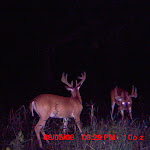 MDGC0007.JPG
