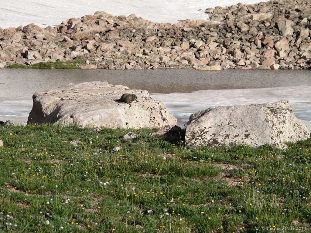 [IMG_6587%255B10%255D.jpg]
