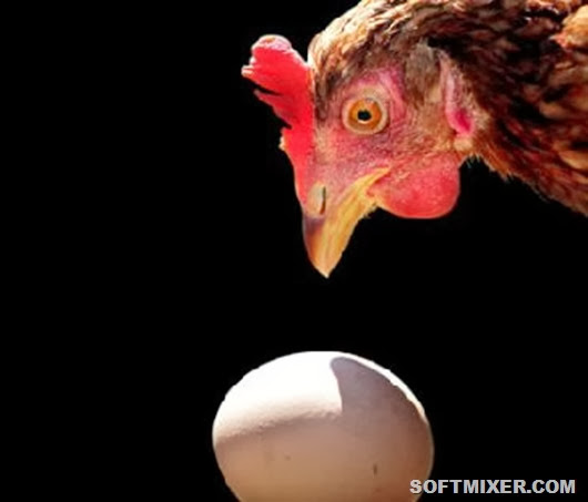 chicken-and-egg chicken-and-egg