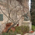 Camí dels Degotalls, monument a Verdaguer i placa en record de Josep Rodoreda i Jacint Verdaguer