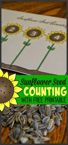 [Sunflower%2520Seed%2520Counting%2520Activity%2520for%2520Toddler%2520and%2520Preschool%2520with%2520FREE%2520printable%255B3%255D.jpg]