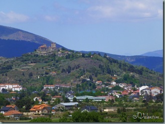 P1030382 P1030382