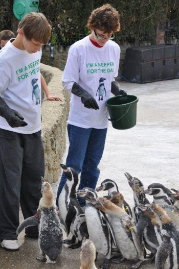 [Esther%2520%2526%2520Jonathan%2520feeding%2520Penguins%2520DSC_1285%2520-%2520Copy%255B8%255D.jpg]