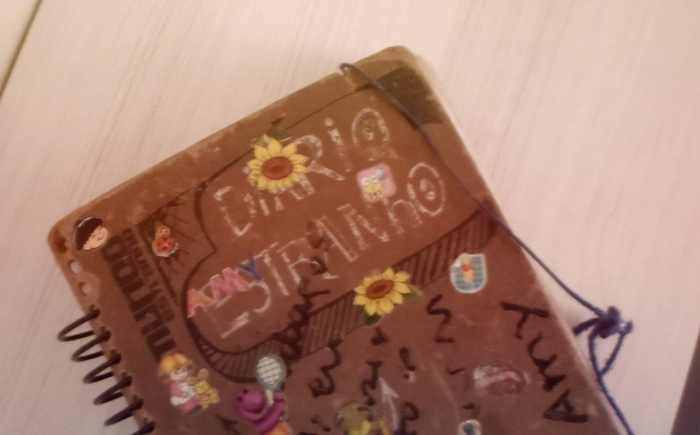 diario4 diario4