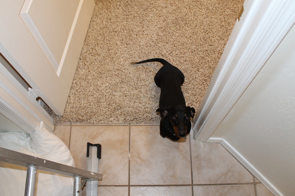 [house%2520023%255B3%255D.jpg]