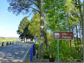 P1030331 P1030331